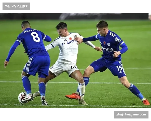 纽卡斯尔联4比3险胜利兹联 英超联赛上演进球大战